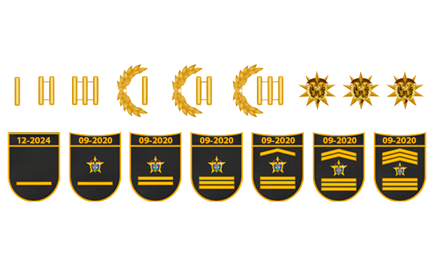 Grados de la Polic&iacute;a Nacional de Colombia