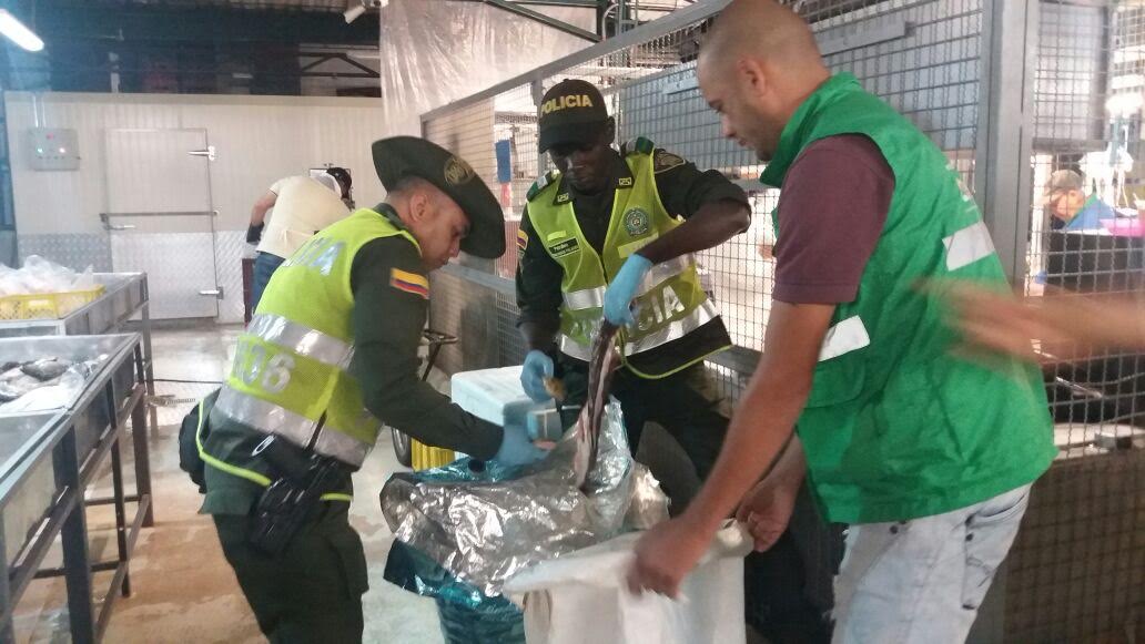 Acciones de control permitieron la incautación de gran cantidad de pescado