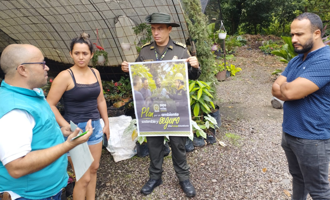Policía y Cormacarena ponen en marcha operativos de control para prevenir la comercialización de la palma de cera.