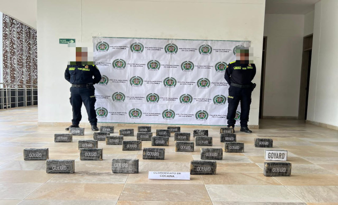 Incautación de estupefacientes 