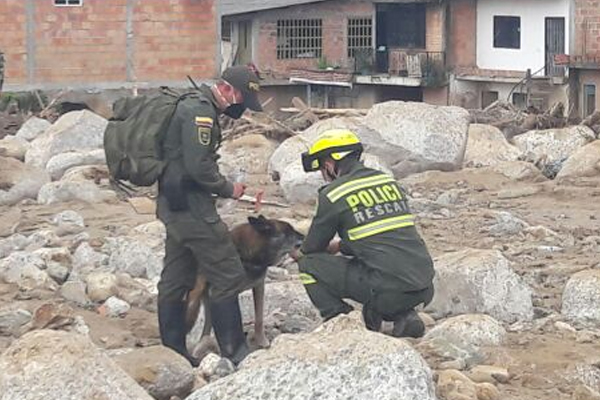 Diez vuelos diarios de solidaridad con Mocoa.