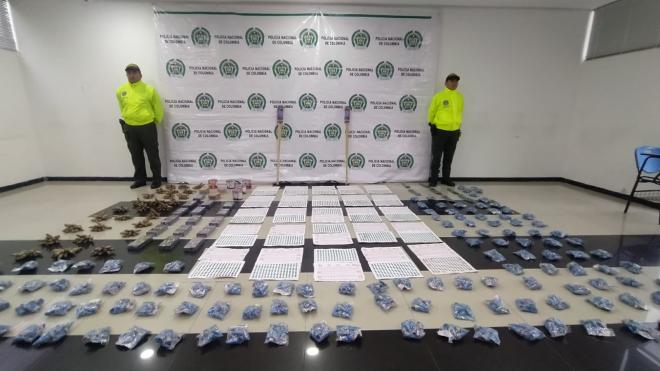 Comerciantes perdieron una millonaria inversión por infringir la ley.