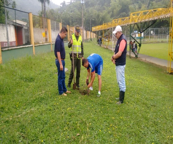 Entornos escolares y parques de este municipio.