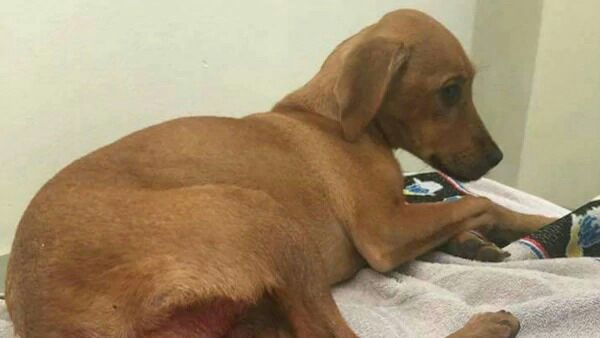 Protegiendo-los-derechos-de-todos