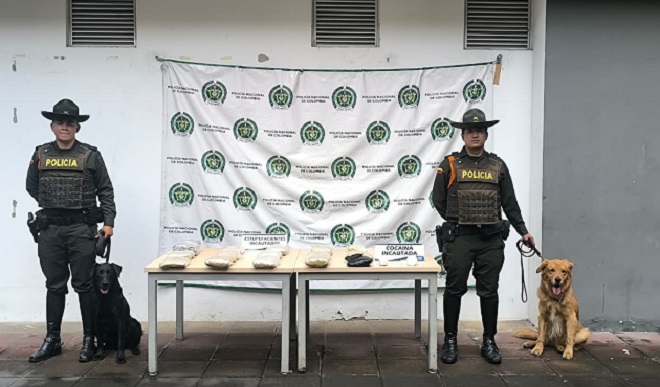 Estupefaciente incautado