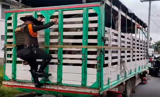 Un Polic&iacute;a subiendo a un cami&oacute;n
