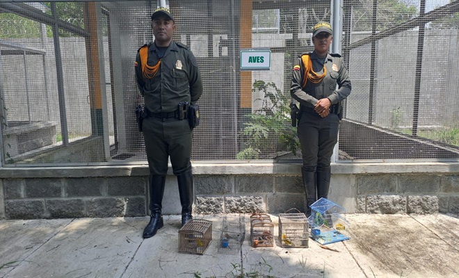 Dos Policías y cinco aves incautadas