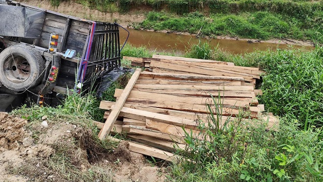 Operacion contra la deforestacion