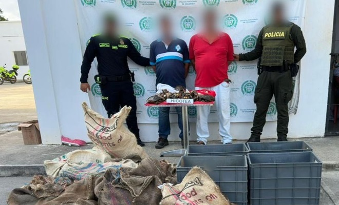 Policías, dos ciudadanos capturados y fauna silvestre incautada