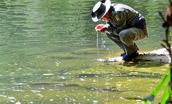 agua-aliada-esencial-de-la-vida