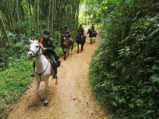 Continúanos acompañando a la comunidad en Ibagué y el área Metropolitana.