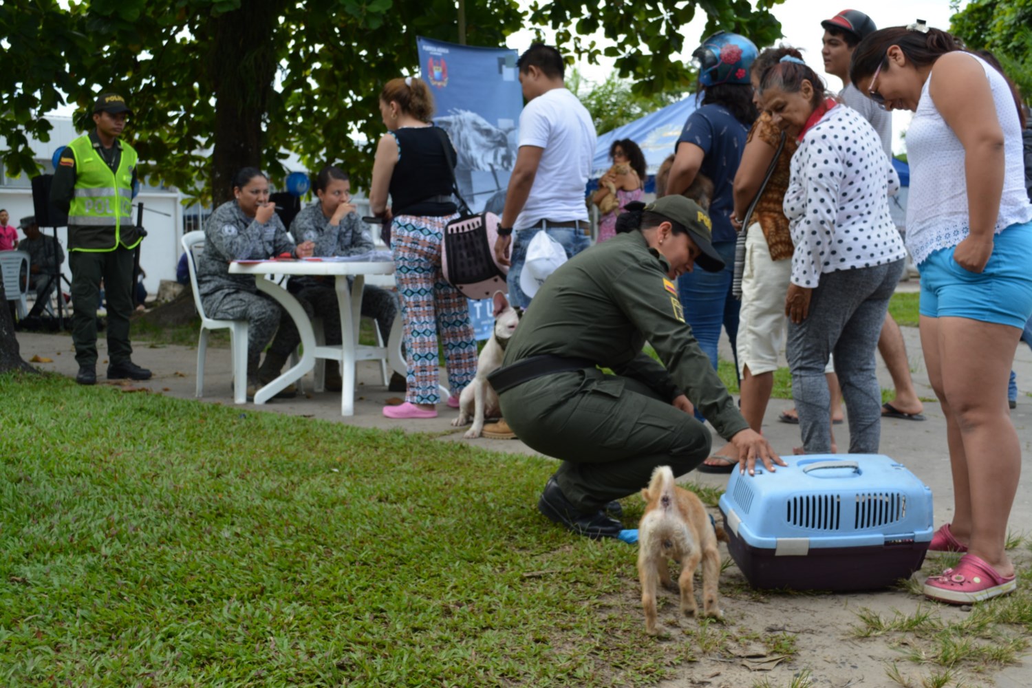  Cerca de 80 mascotas entre felinos y caninos fueron atendidos por los veterinarios cirujanos