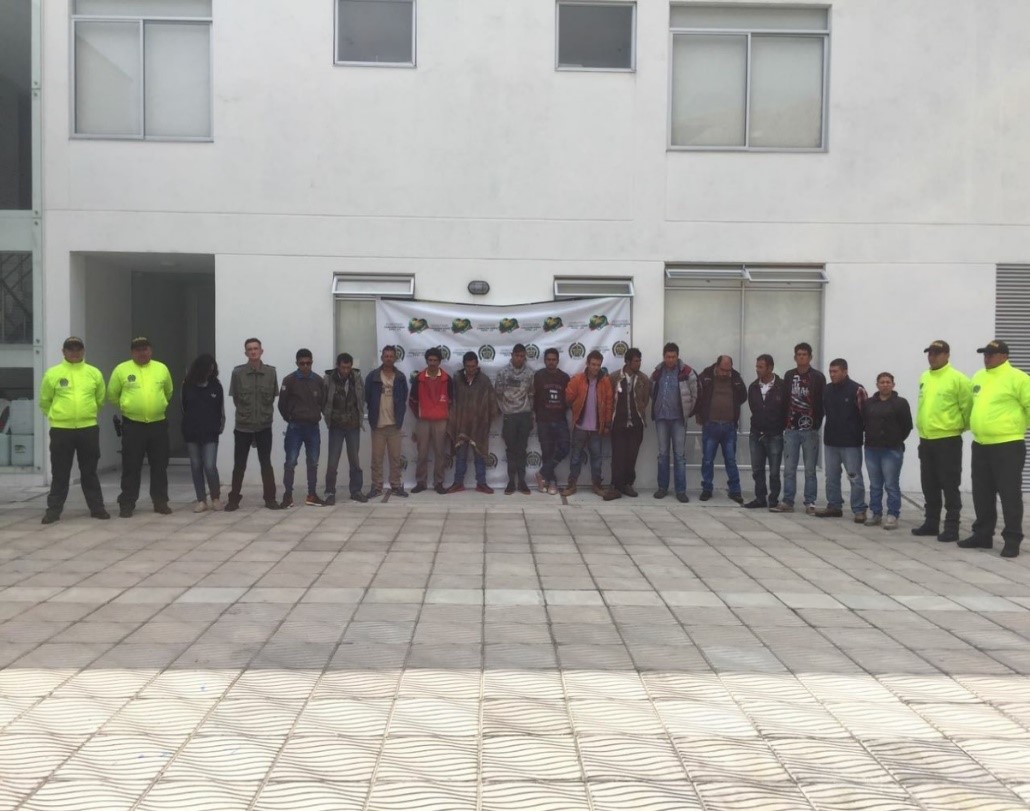 Captura-los-"bonsai"