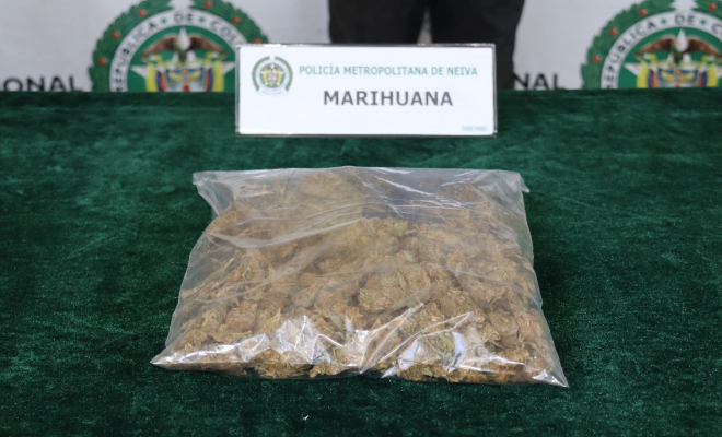 Elemento material probatorio