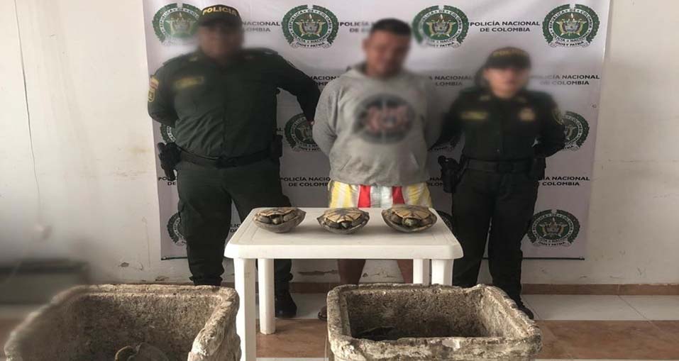 Capturamos a un hombre transportando hicoteas en cavas de icopor