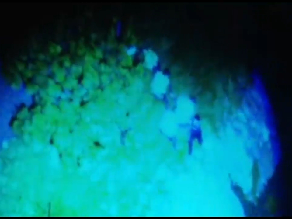 Ayuda del Ojo de Dios de helicóptero "Halcón" permitió hacerle seguimiento a los hoy capturados