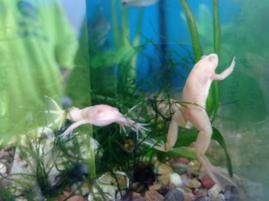 Funcionarios de la Seccional de Investigación Criminal SIJIN, dieron el importante resultado