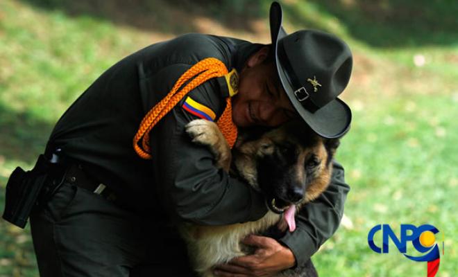 codigo-nacional-policia-convivencia-tenencia-mascotas-caninos-felinos-domesticos