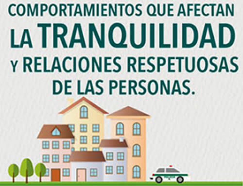  codigo-policia-y-convivencia-articulo-33