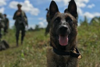 Conmovedora-despedida-a-nuestro-canino-“Killer” 