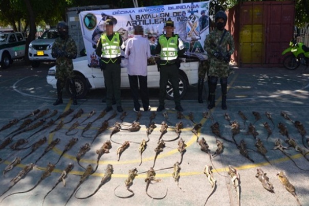 Contrarrestamos-el-tráfico-de-especies-en-el-Cesar