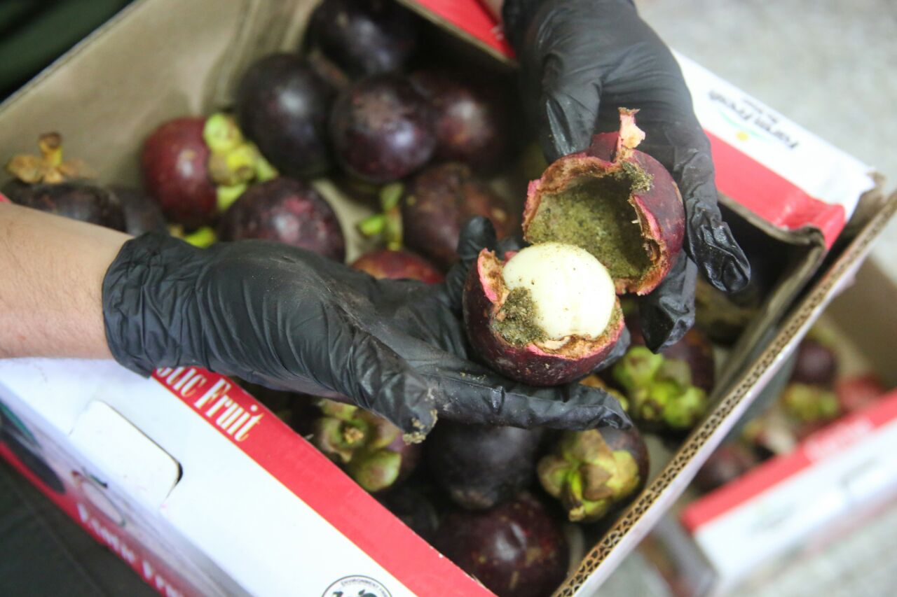 Dentro-de-frutas-exóticas-enviaban-cocaína-diluida-a-Hong-Kong