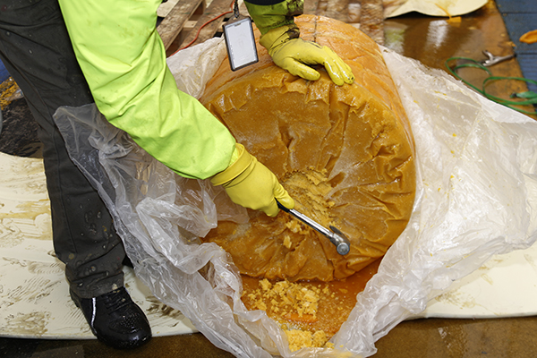 En Bogotá incautamos más de media tonelada de cocaína camuflada en pulpa de fruta