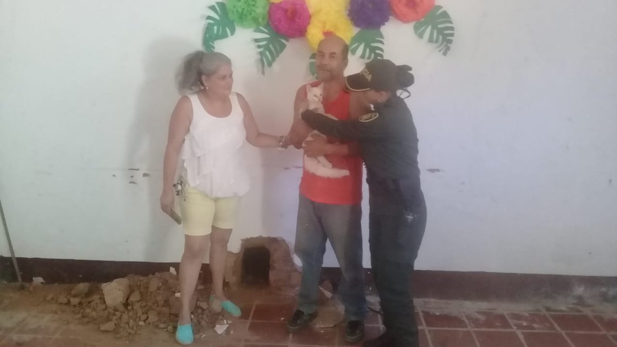 en-salazar-de-las-palmas-rescatamos-un-gato-atrapado-entre-dos-paredes