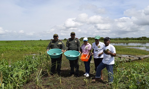 La actividad ecológica se llevó a cabo en el complejo cenagoso de Purísima