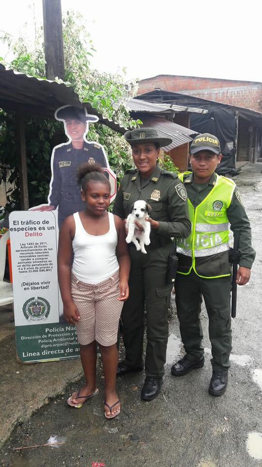 En-la-Capital-del-Chocó-realizamos-Jornada-de-Protección-Animal