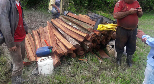 En el Meta-la Policía Nacional-vela por la protección de la fauna silvestre