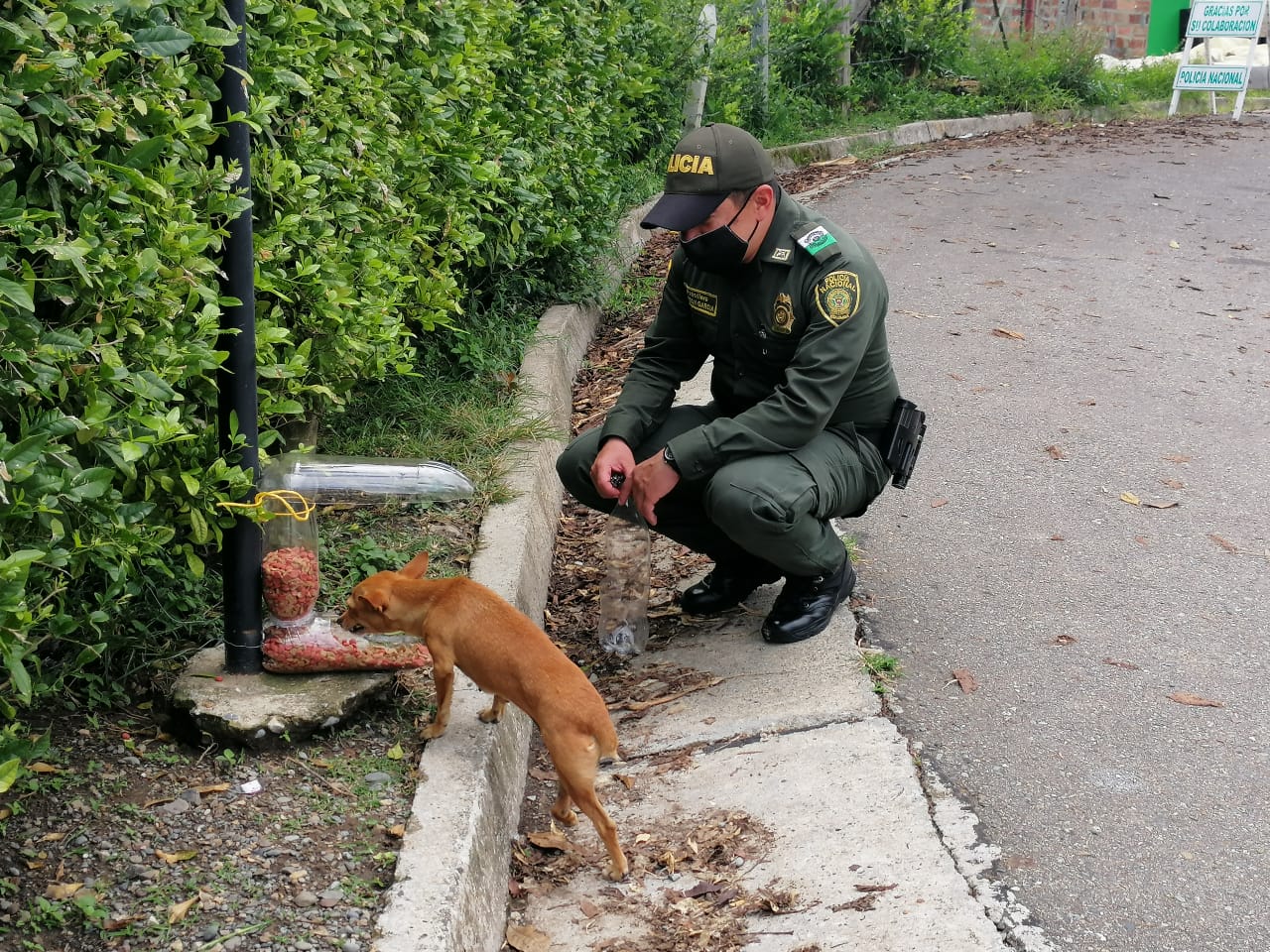 Fabricamos dispensadores artesanales de alimentos para mascotas.