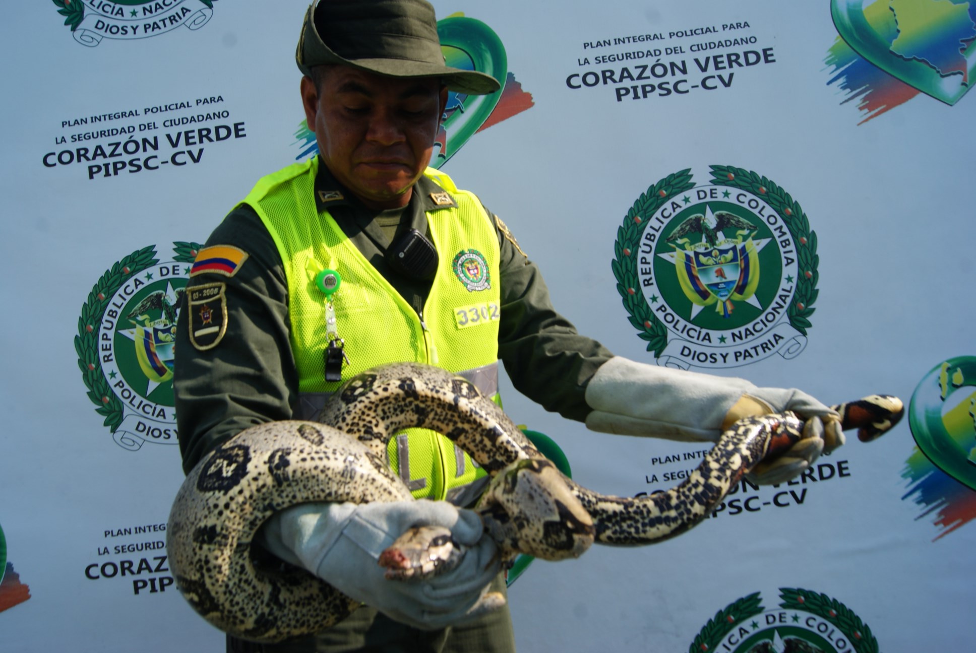 Los reptiles y el primate serán retornados a su hábitat 