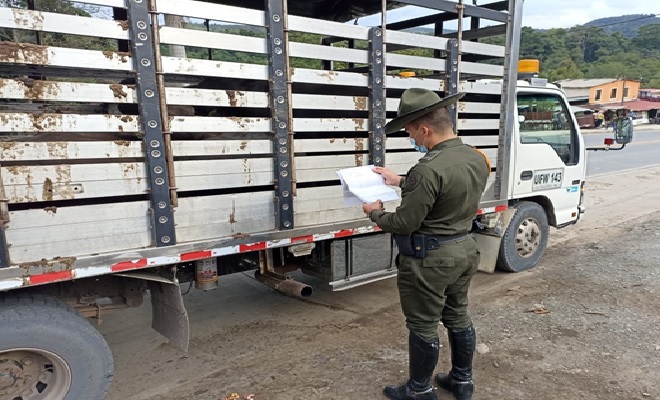 El Departamento de Policía Santander trabaja del lado del campo