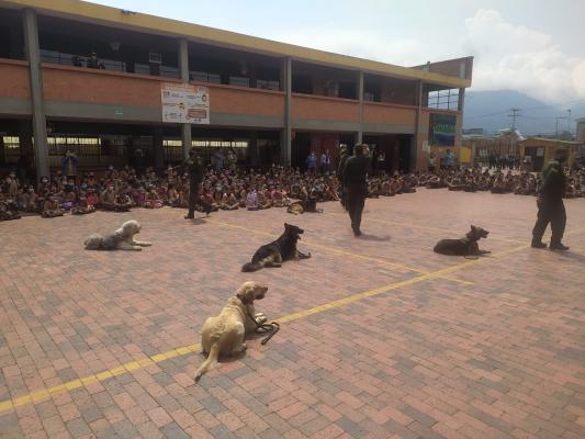 Acompañamiento regreso a clases, institución educativa la Arboleda