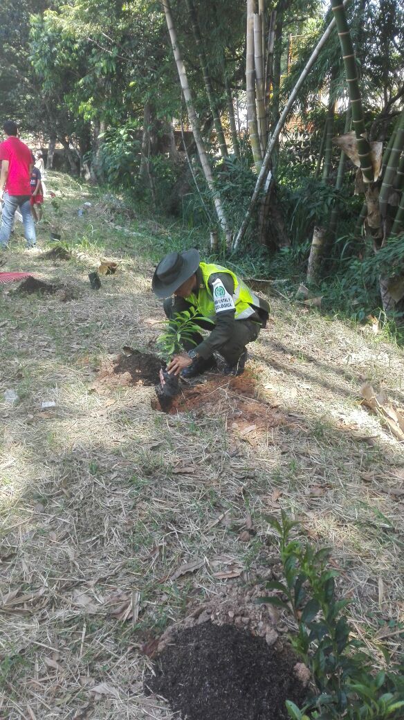 policia-ambiental-realizando-reforestacion