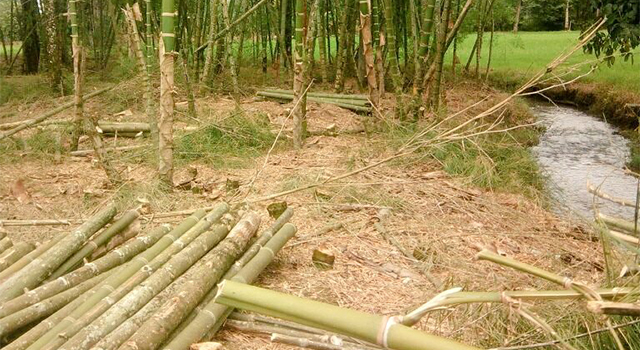 La Policía Nacional-trabaja en la protección y el cuidado del medio ambiente-Meta