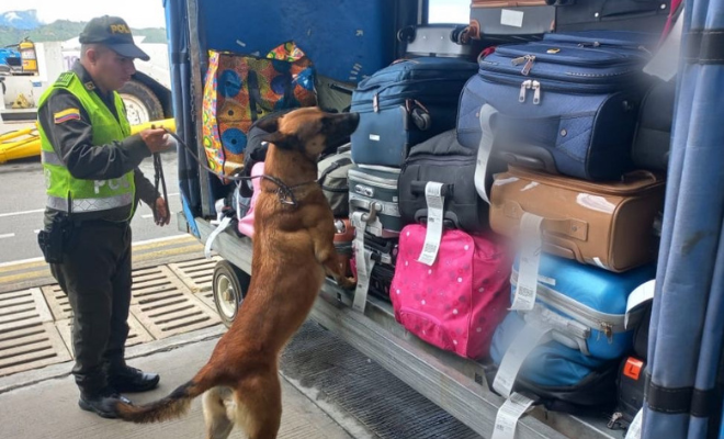 La Policía Nacional, a través de la Seccional de Carabineros y Protección Ambiental