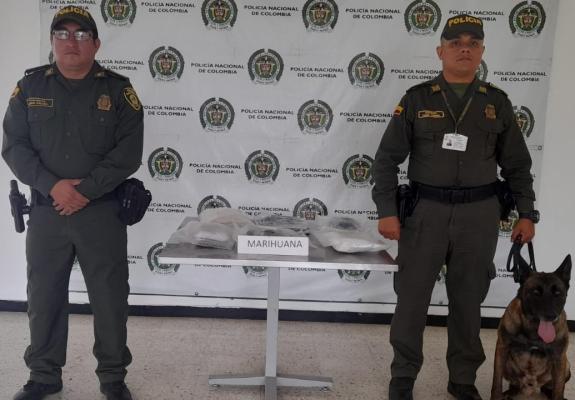 La Policía Nacional logra sacar de circulación más de 3000 gramos de marihuana al sur del Valle
