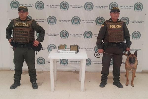 Incautados 2.200 gramos de marihuana en empresa de mensajería con destino a Puerto Asís