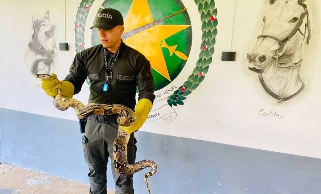 en-varios-puntos-del-area-metropolitana-de-pereira-las-especies-se-protegen