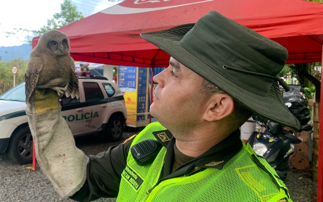 Policía Ambiental y Ecológica 