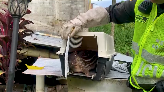 Actividades de prevención y conservación del medio ambiente 