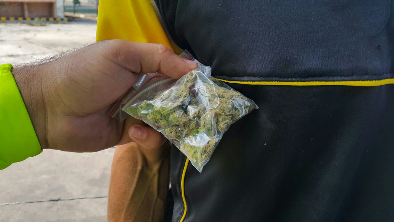 Droga incautada en la operación 