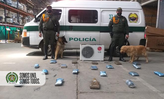 incautación 12 kilos de marihuana en encomienda