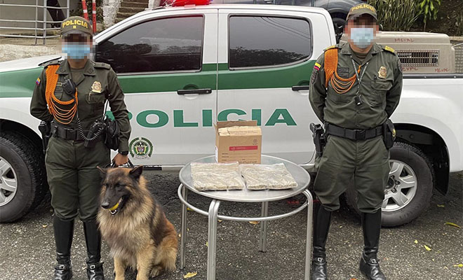 incautación de marihuana