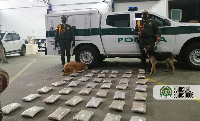 incautación de marihuana 