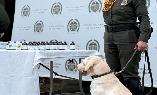 Un canino del grupo de carabineros con estupefacientes incautados