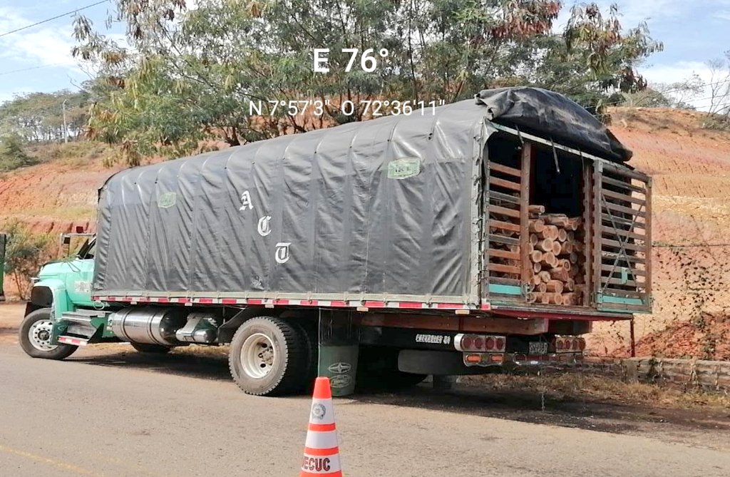 Incautacion de madera1