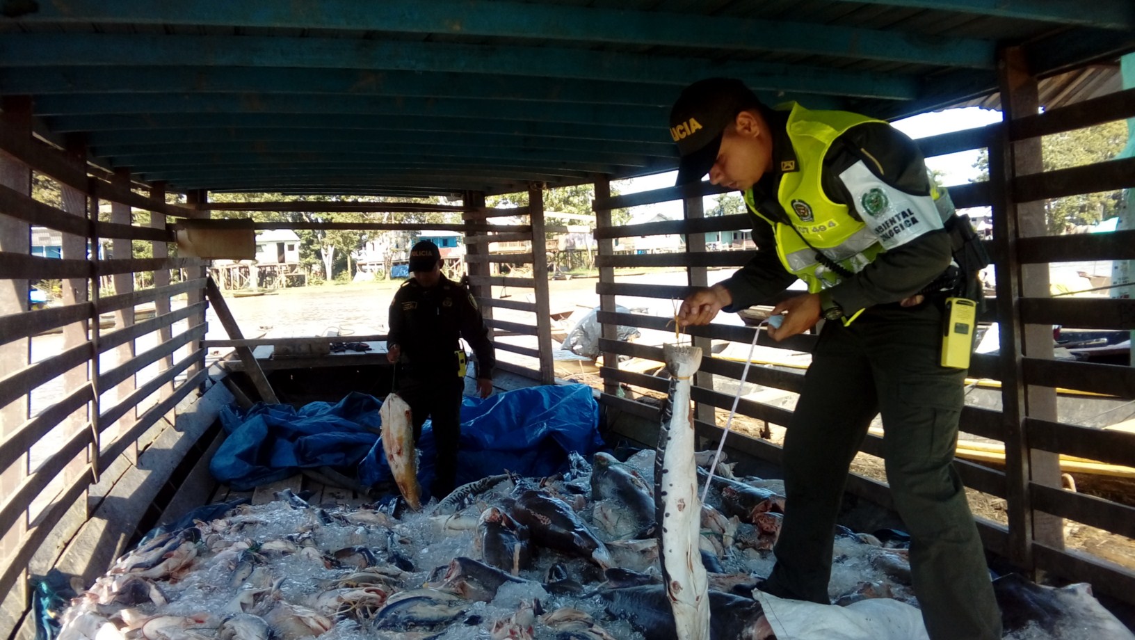 incauta dos toneladas de pescado congelado 